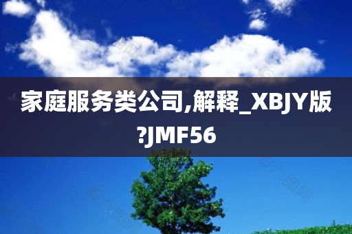 家庭服务类公司,解释_XBJY版?JMF56