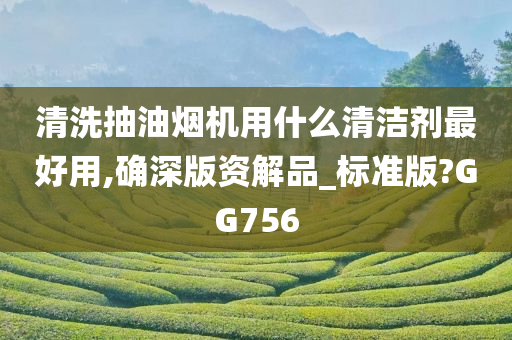 清洗抽油烟机用什么清洁剂最好用,确深版资解品_标准版?GG756