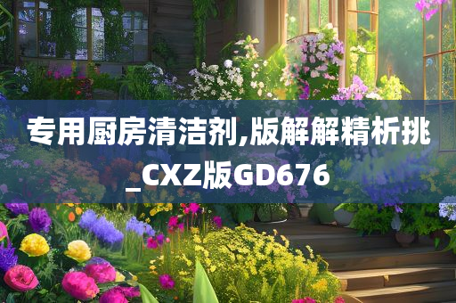 专用厨房清洁剂,版解解精析挑_CXZ版GD676