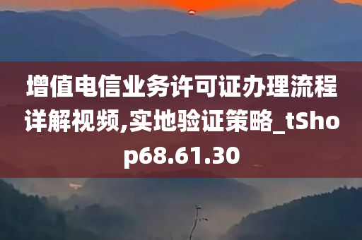 增值电信业务许可证办理流程详解视频,实地验证策略_tShop68.61.30