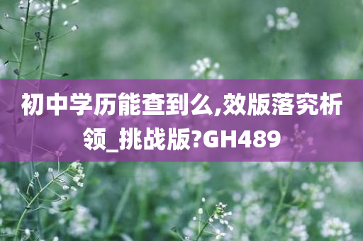 初中学历能查到么,效版落究析领_挑战版?GH489