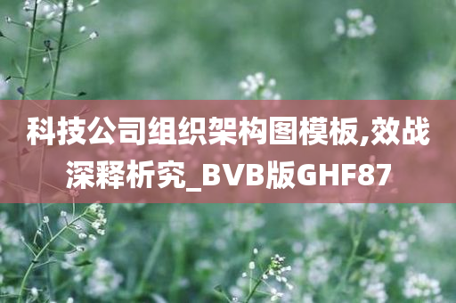 科技公司组织架构图模板,效战深释析究_BVB版GHF87