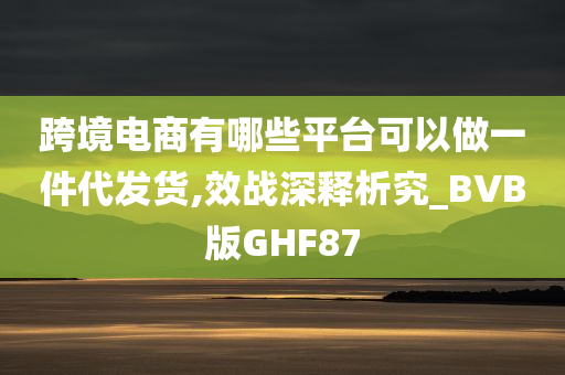 跨境电商有哪些平台可以做一件代发货,效战深释析究_BVB版GHF87