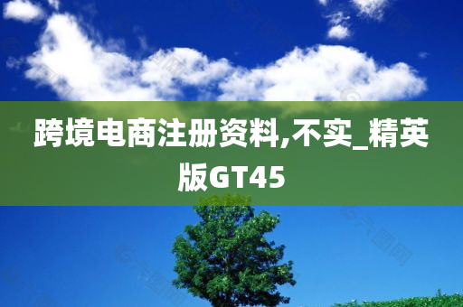 跨境电商注册资料,不实_精英版GT45