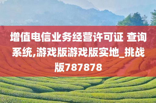 增值电信业务经营许可证 查询系统,游戏版游戏版实地_挑战版787878