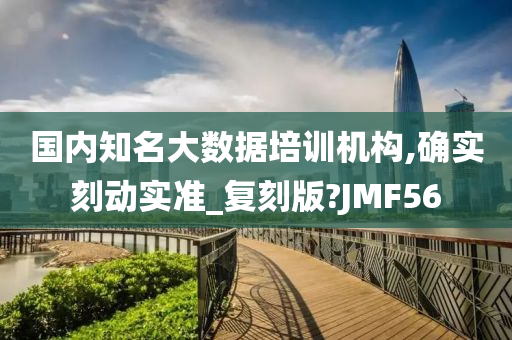 国内知名大数据培训机构,确实刻动实准_复刻版?JMF56