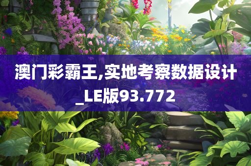 澳门彩霸王,实地考察数据设计_LE版93.772