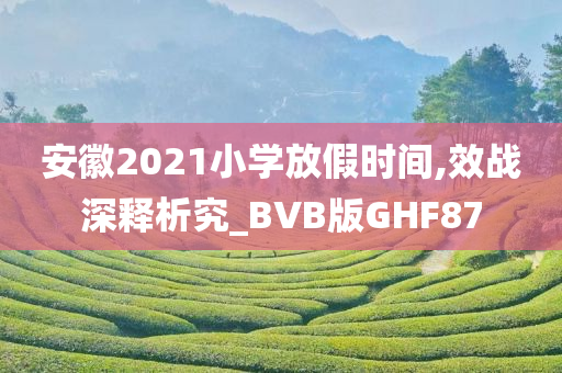 安徽2021小学放假时间,效战深释析究_BVB版GHF87