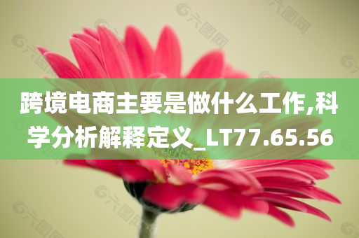 跨境电商主要是做什么工作,科学分析解释定义_LT77.65.56