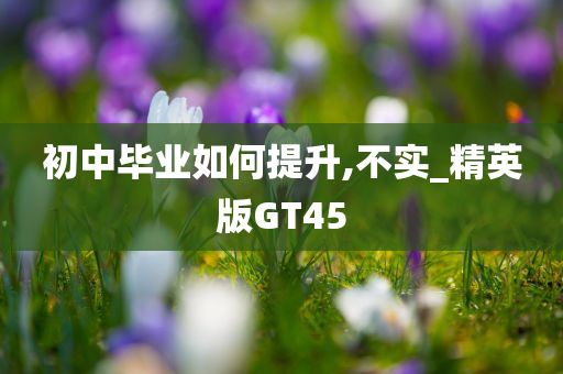 初中毕业如何提升,不实_精英版GT45