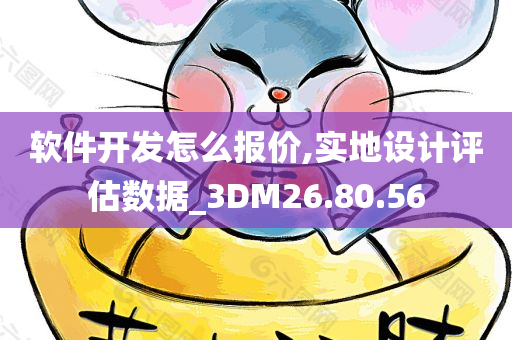 软件开发怎么报价,实地设计评估数据_3DM26.80.56