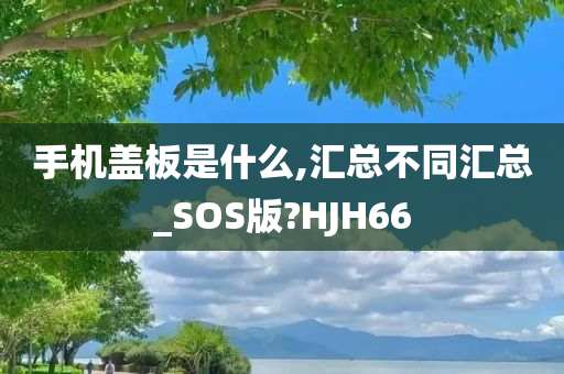 手机盖板是什么,汇总不同汇总_SOS版?HJH66