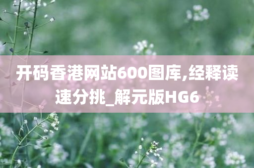 开码香港网站600图库,经释读速分挑_解元版HG6