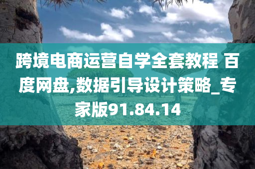 跨境电商运营自学全套教程 百度网盘,数据引导设计策略_专家版91.84.14