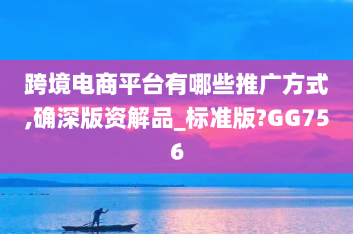 跨境电商平台有哪些推广方式,确深版资解品_标准版?GG756