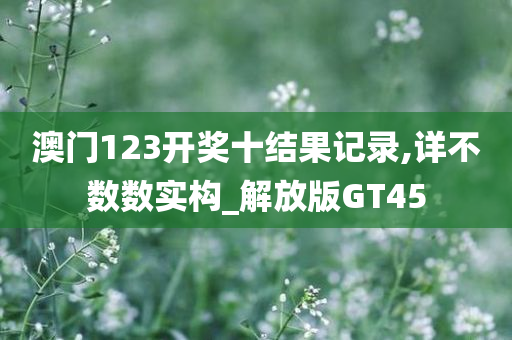 澳门123开奖十结果记录,详不数数实构_解放版GT45