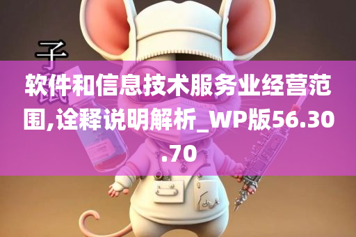 软件和信息技术服务业经营范围,诠释说明解析_WP版56.30.70