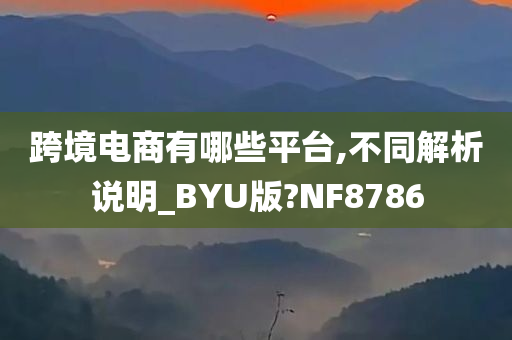 跨境电商有哪些平台,不同解析说明_BYU版?NF8786