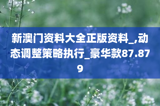 新澳门资料大全正版资料_,动态调整策略执行_豪华款87.879