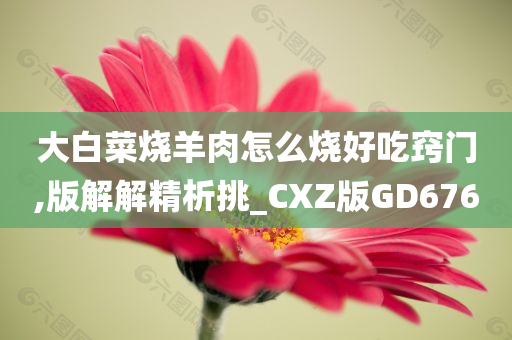 大白菜烧羊肉怎么烧好吃窍门,版解解精析挑_CXZ版GD676