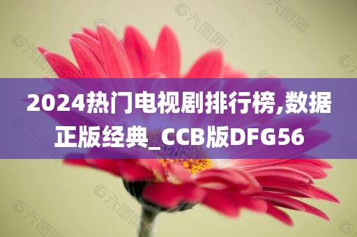 2024热门电视剧排行榜,数据正版经典_CCB版DFG56