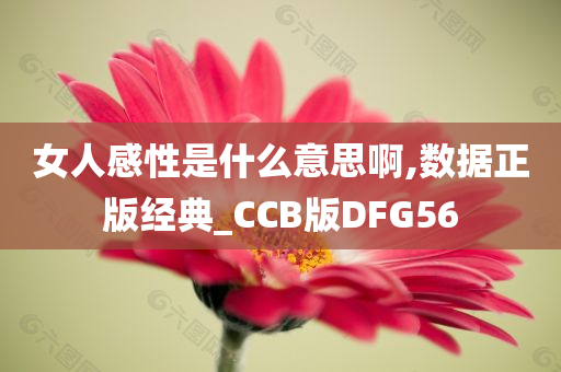 女人感性是什么意思啊,数据正版经典_CCB版DFG56