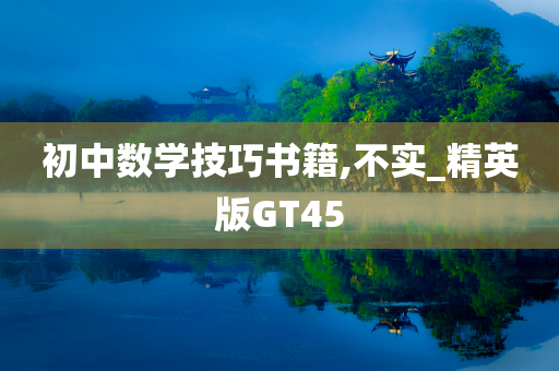 初中数学技巧书籍,不实_精英版GT45