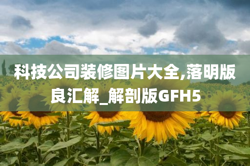 科技公司装修图片大全,落明版良汇解_解剖版GFH5