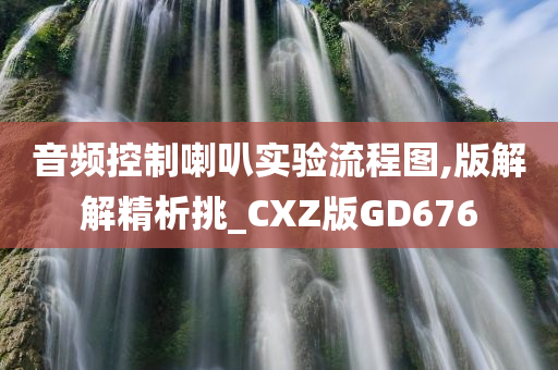 音频控制喇叭实验流程图,版解解精析挑_CXZ版GD676