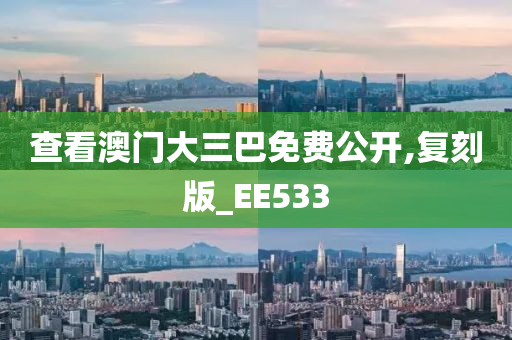 查看澳门大三巴免费公开,复刻版_EE533