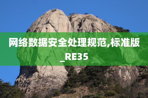 网络数据安全处理规范,标准版_RE35