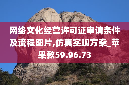 网络文化经营许可证申请条件及流程图片,仿真实现方案_苹果款59.96.73