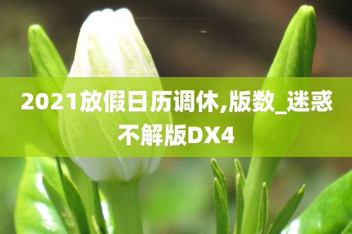 2021放假日历调休,版数_迷惑不解版DX4