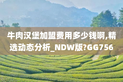 牛肉汉堡加盟费用多少钱啊,精选动态分析_NDW版?GG756