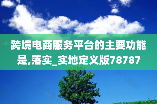 跨境电商服务平台的主要功能是,落实_实地定义版78787