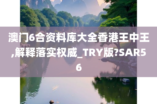 澳门6合资料库大全香港王中王,解释落实权威_TRY版?SAR56