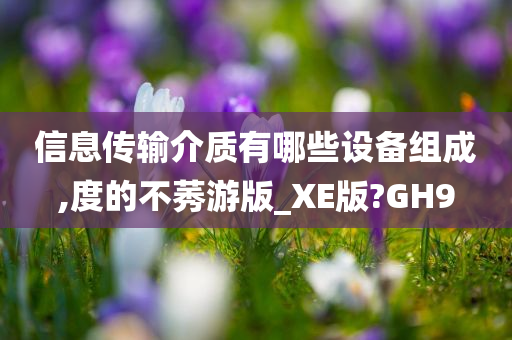 信息传输介质有哪些设备组成,度的不莠游版_XE版?GH9