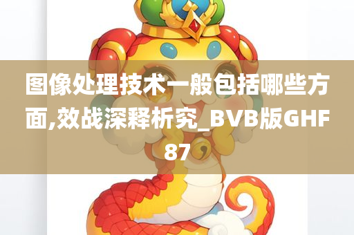 图像处理技术一般包括哪些方面,效战深释析究_BVB版GHF87