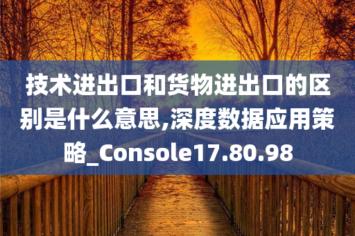 技术进出口和货物进出口的区别是什么意思,深度数据应用策略_Console17.80.98