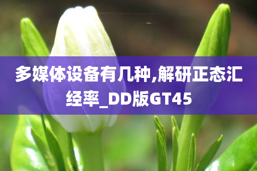 多媒体设备有几种,解研正态汇经率_DD版GT45