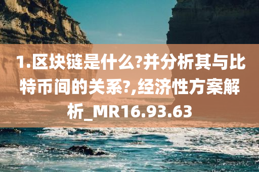 1.区块链是什么?并分析其与比特币间的关系?,经济性方案解析_MR16.93.63