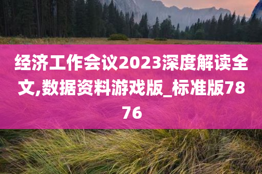 经济工作会议2023深度解读全文,数据资料游戏版_标准版7876