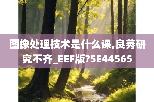 图像处理技术是什么课,良莠研究不齐_EEF版?SE44565