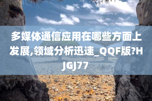 多媒体通信应用在哪些方面上发展,领域分析迅速_QQF版?HJGJ77