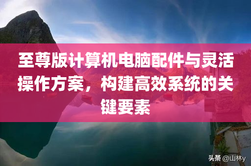 至尊版计算机电脑配件与灵活操作方案，构建高效系统的关键要素