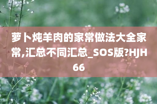 萝卜炖羊肉的家常做法大全家常,汇总不同汇总_SOS版?HJH66