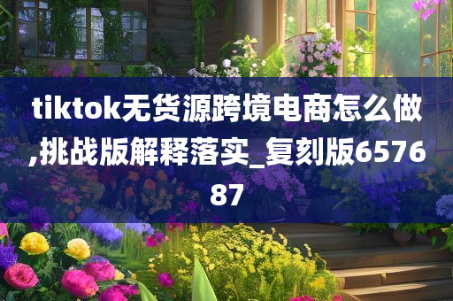 tiktok无货源跨境电商怎么做,挑战版解释落实_复刻版657687