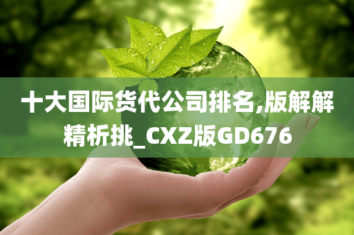 十大国际货代公司排名,版解解精析挑_CXZ版GD676