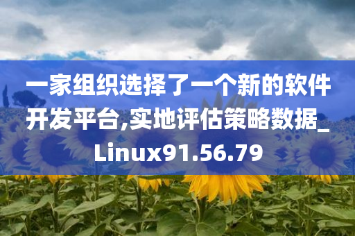 一家组织选择了一个新的软件开发平台,实地评估策略数据_Linux91.56.79