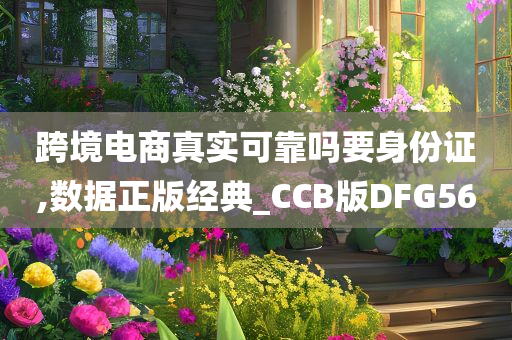 跨境电商真实可靠吗要身份证,数据正版经典_CCB版DFG56